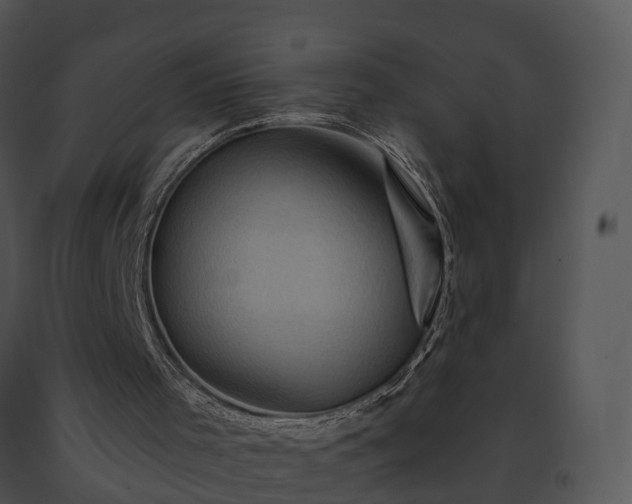 X0000091690001200708301549