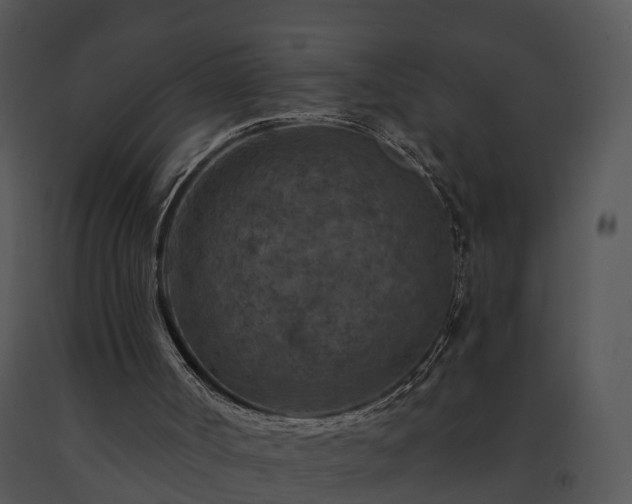X0000091690002200708301549