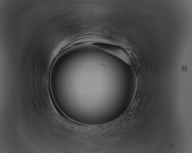X0000091690003200708301549