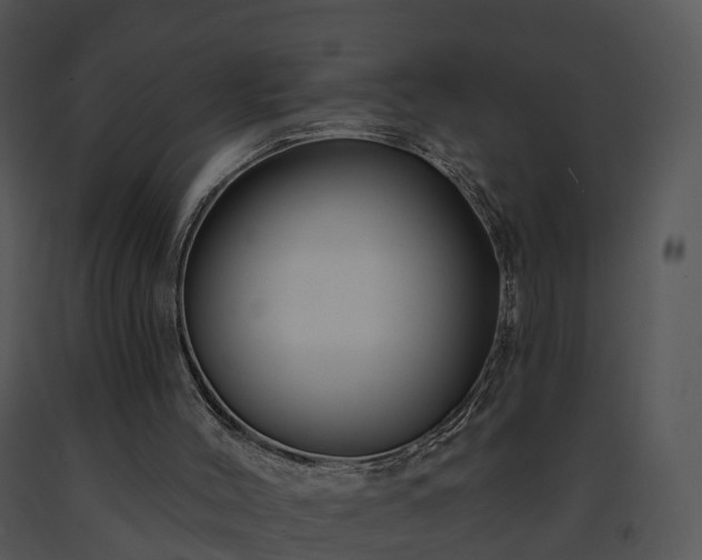 X0000091690004200708301549