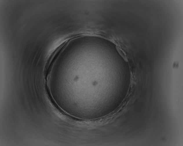 X0000091690005200708301549