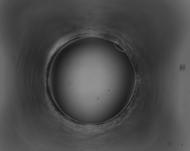 X0000091690006200708301549