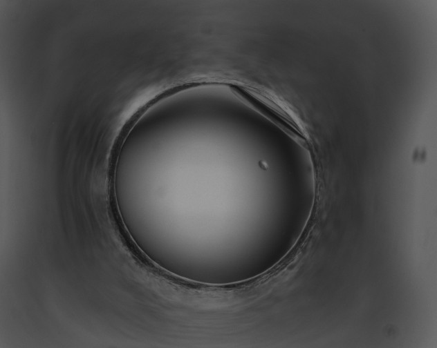 X0000091690008200708301549