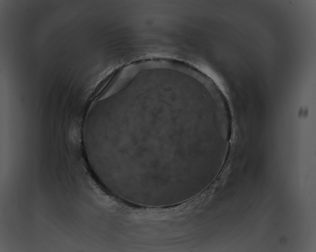 X0000091690009200708301549