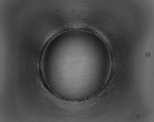 X0000091690010200708301549