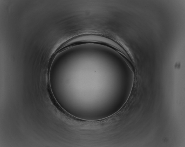 X0000091690011200708301549