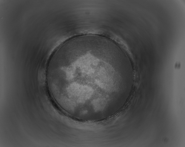 X0000091690012200708301549