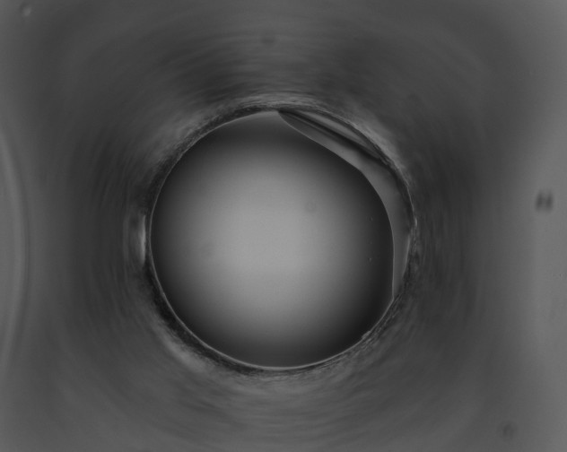 X0000091690013200708301549