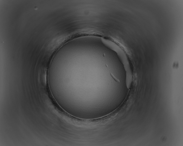 X0000091690014200708301549