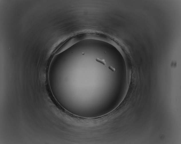X0000091690015200708301549