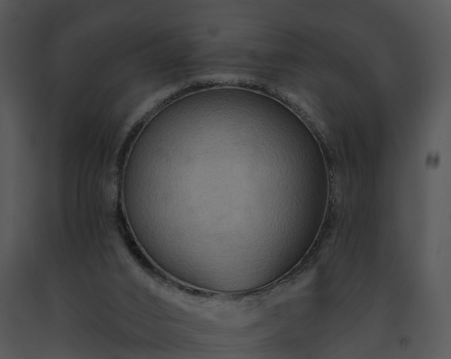 X0000091690016200708301549