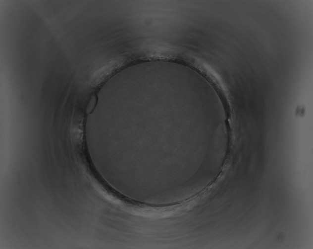 X0000091690017200708301549