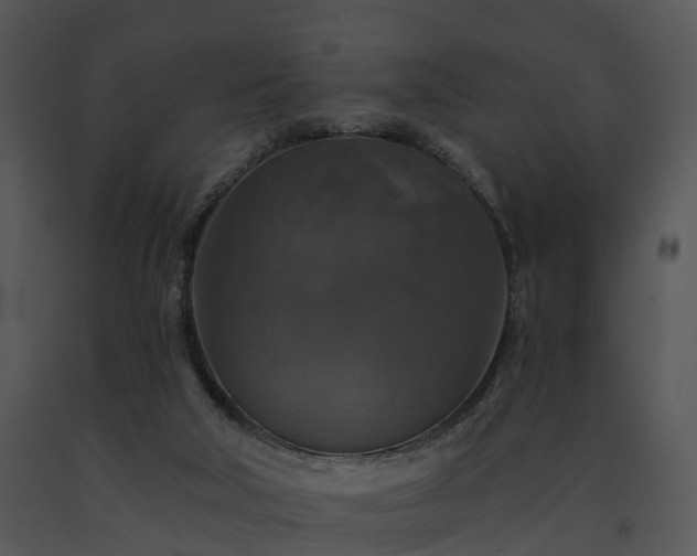 X0000091690018200708301549