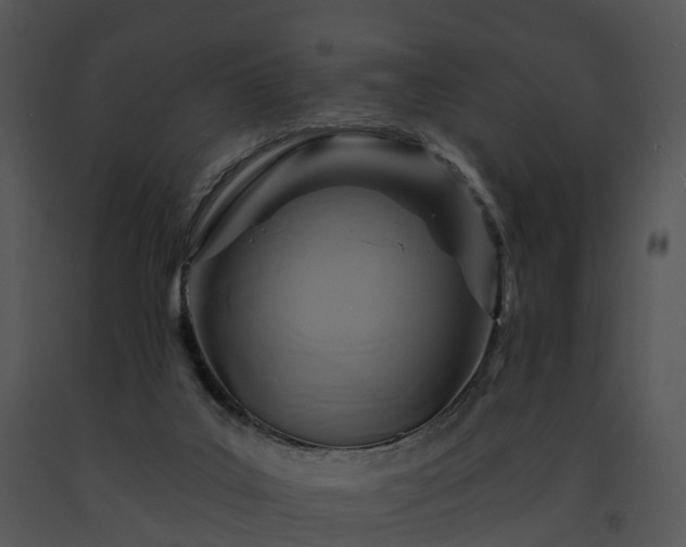 X0000091690019200708301549
