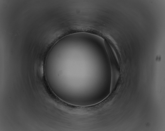 X0000091690020200708301549