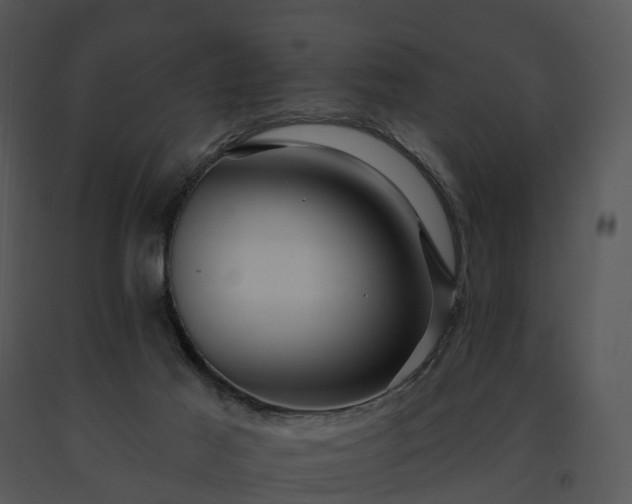 X0000091690021200708301549