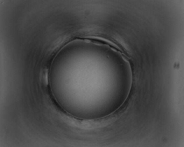X0000091690022200708301549