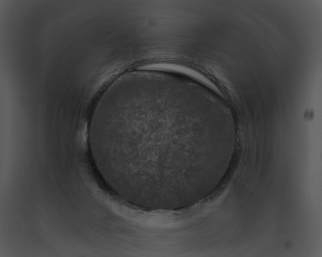 X0000091690024200708301549