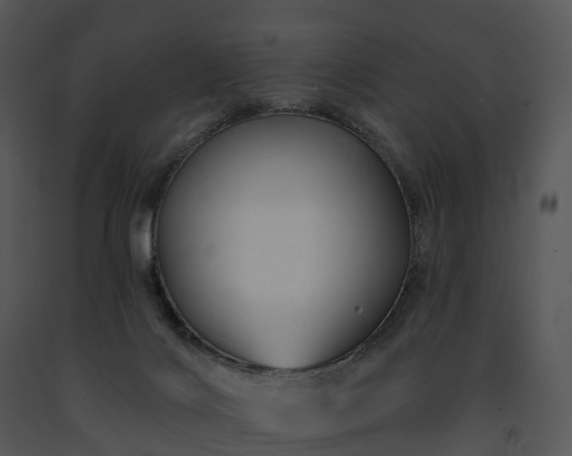 X0000091690028200708301549