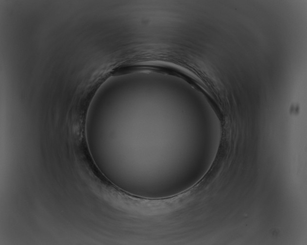 X0000091690031200708301549