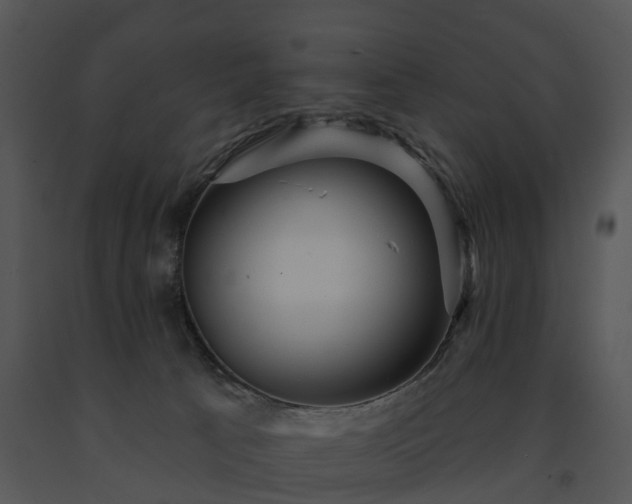 X0000091690033200708301549