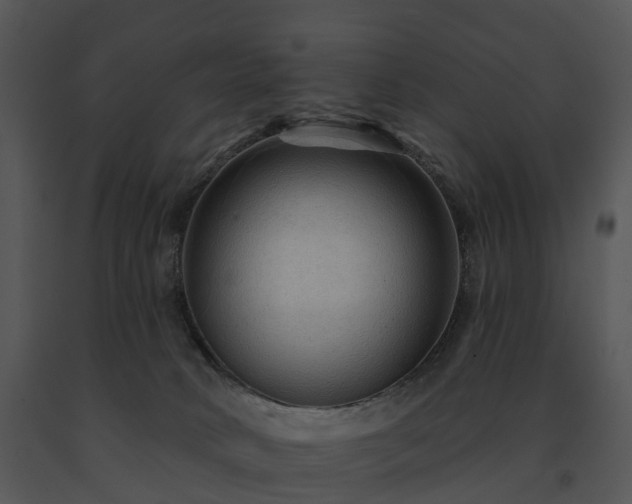 X0000091690034200708301549