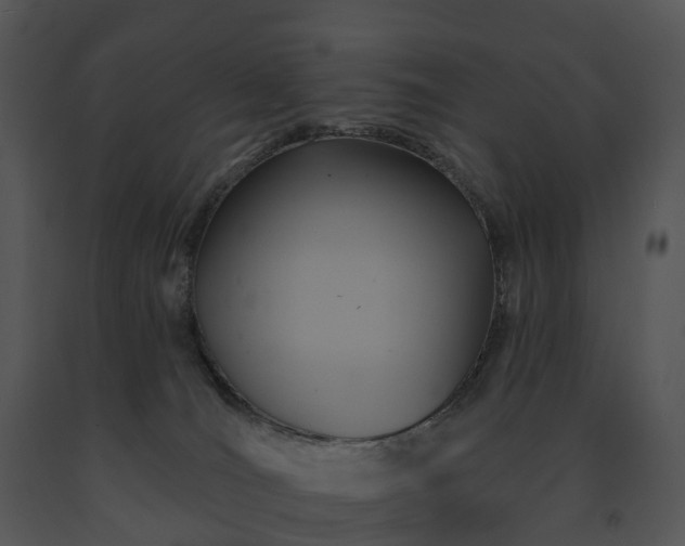 X0000091690036200708301549