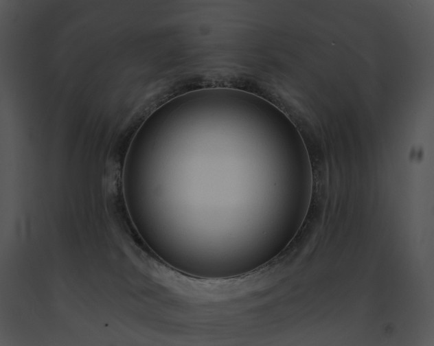 X0000091690038200708301549