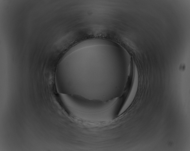 X0000091690039200708301549