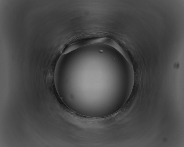 X0000091690040200708301549