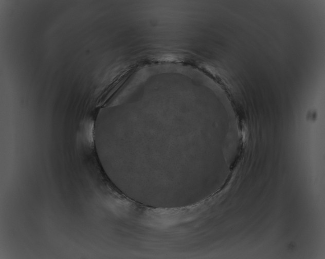 X0000091690041200708301549