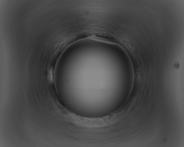 X0000091690042200708301549