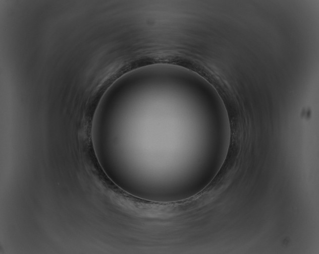 X0000091690044200708301549