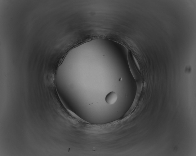 X0000091690045200708301549