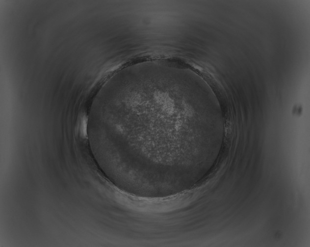X0000091690046200708301549
