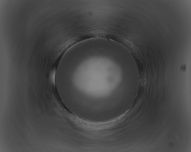 X0000091690047200708301549