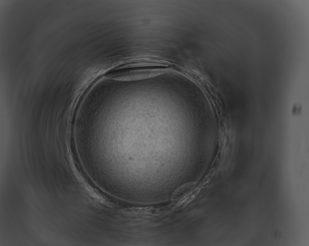 X0000091690049200708301548