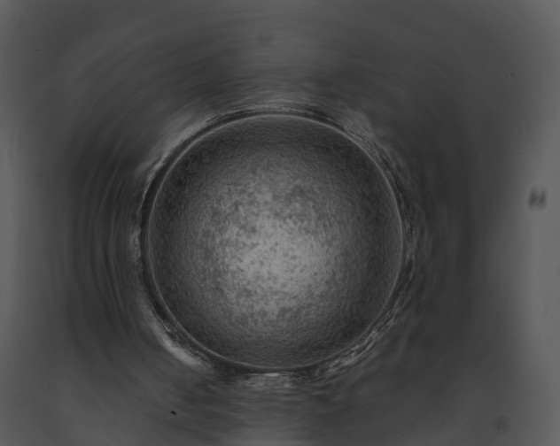 X0000091690050200708301548