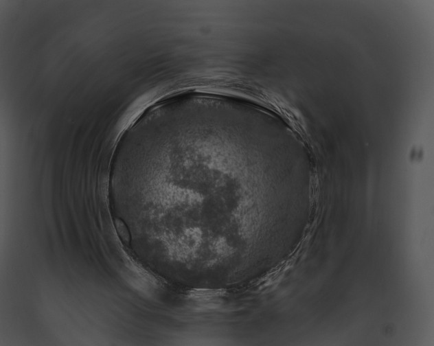 X0000091690051200708301548