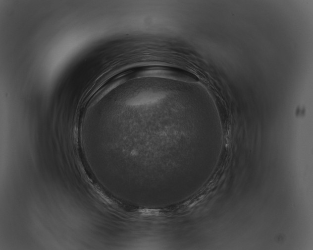X0000091690052200708301548