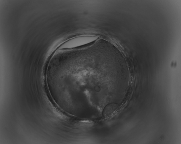 X0000091690053200708301548