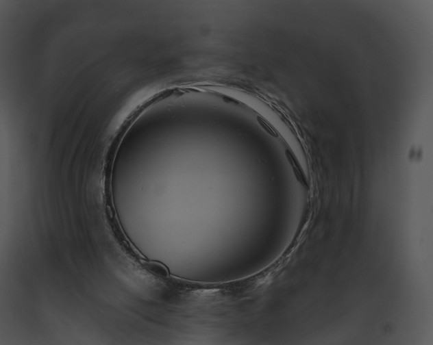 X0000091690054200708301548