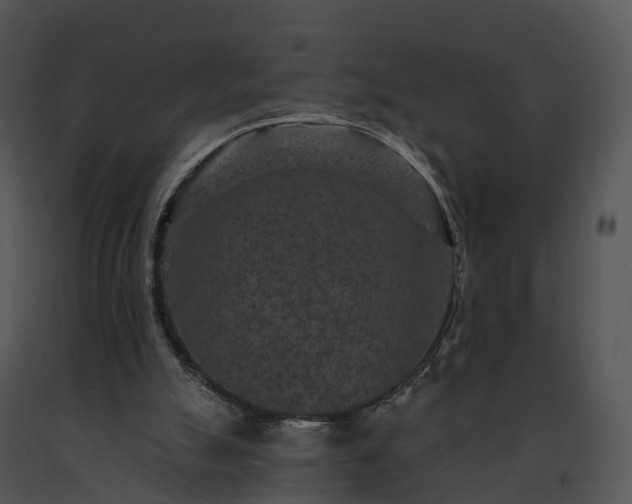 X0000091690055200708301548