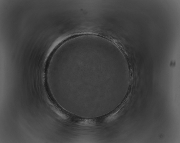 X0000091690056200708301548