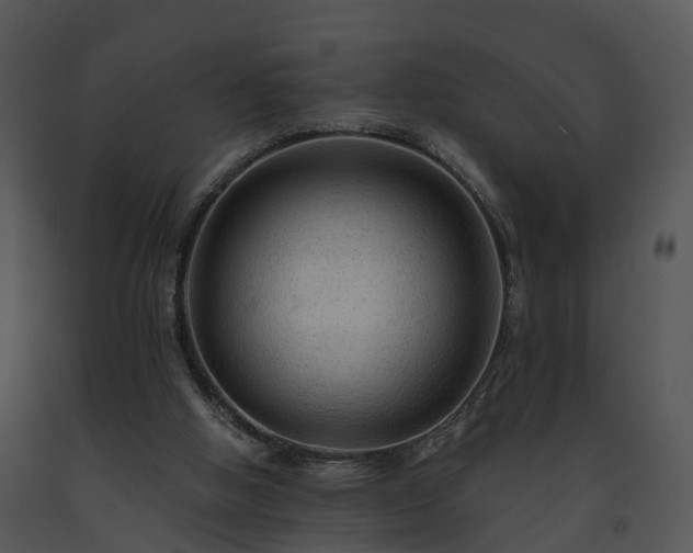 X0000091690058200708301548