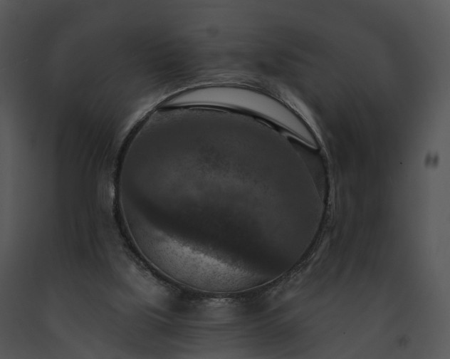 X0000091690059200708301548