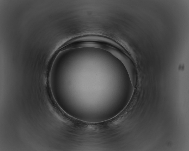 X0000091690060200708301548
