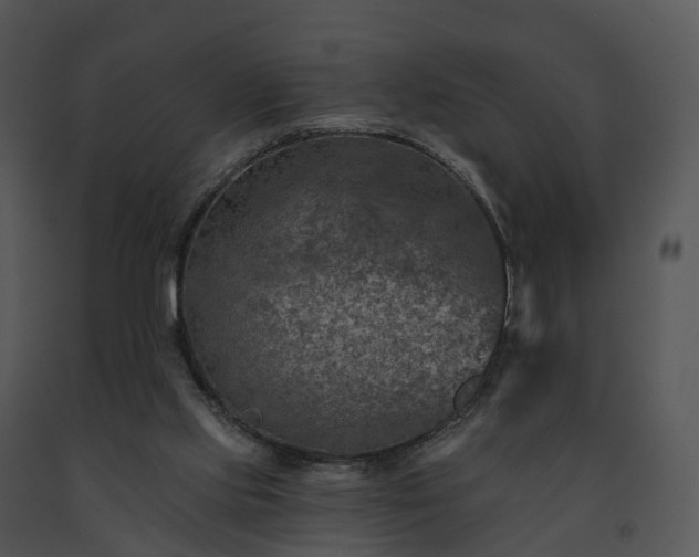 X0000091690061200708301548