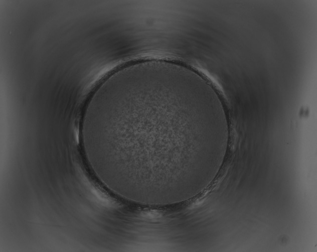 X0000091690062200708301548