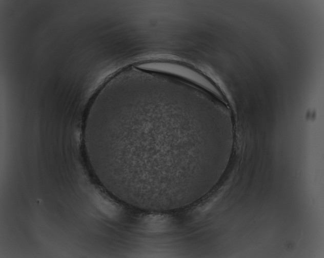 X0000091690063200708301548